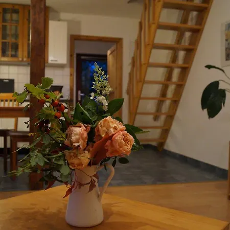 Dorotheenhof Daire Sankt Peter-Ording